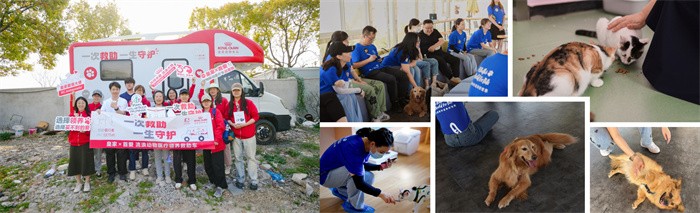 玛氏通过不同类型项目提升流浪动物福祉(1).jpg