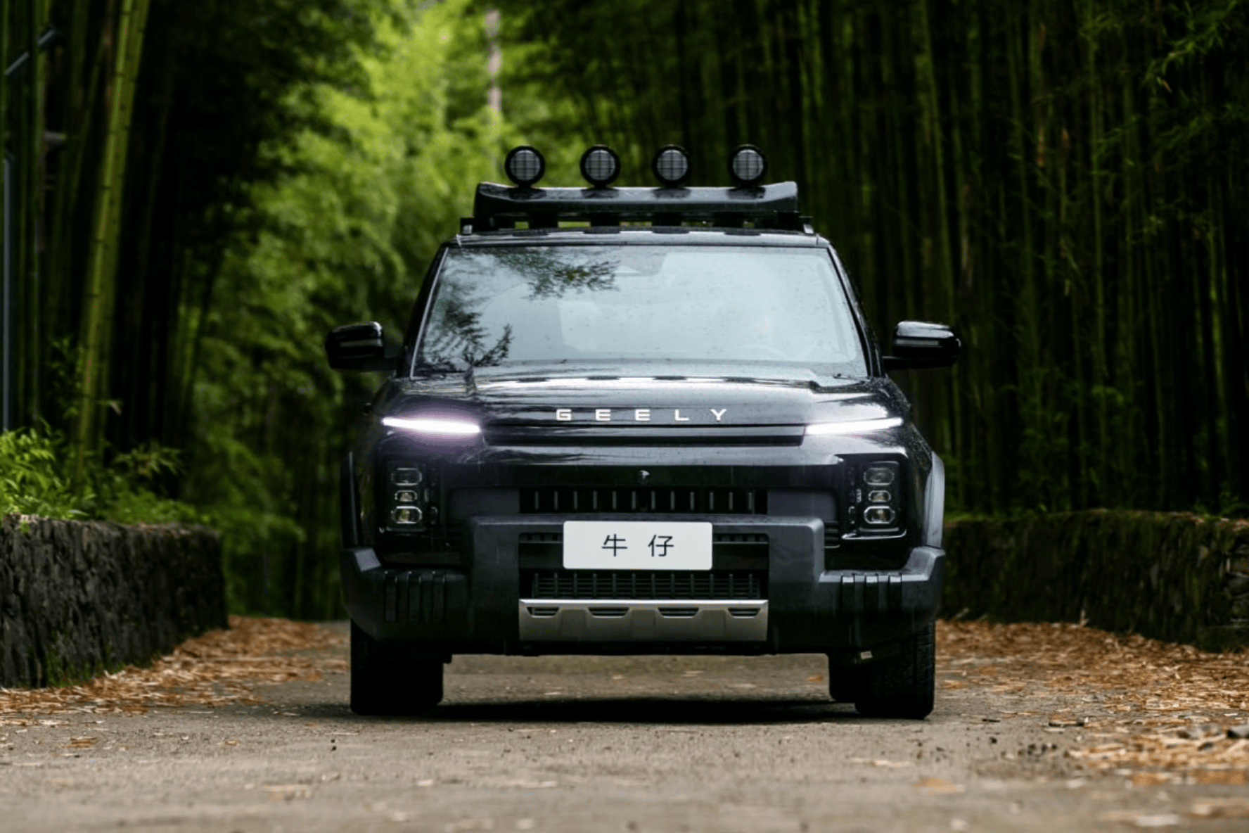 2026款吉利牛仔外观图